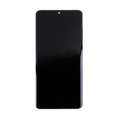 LCD-SSG-G985F-FR-GY-INCL