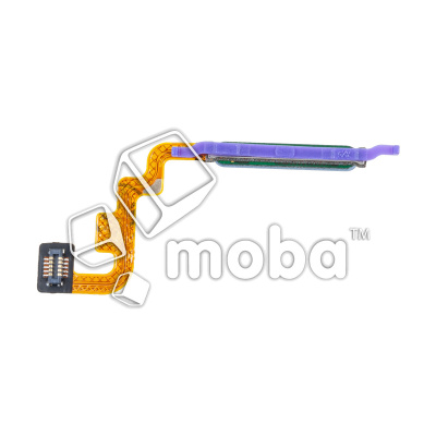 FPC-XMI-RMINT-11-FP-BL_1